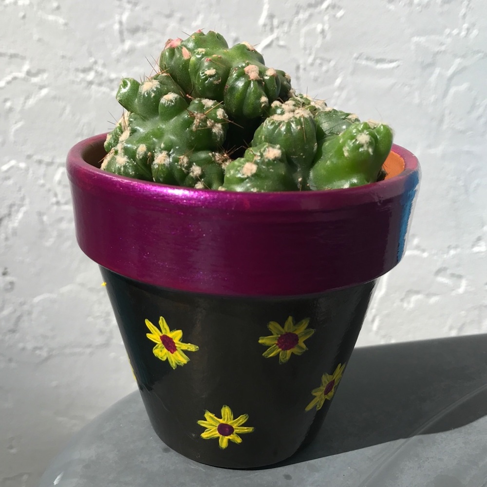 Hand painted flower pot
